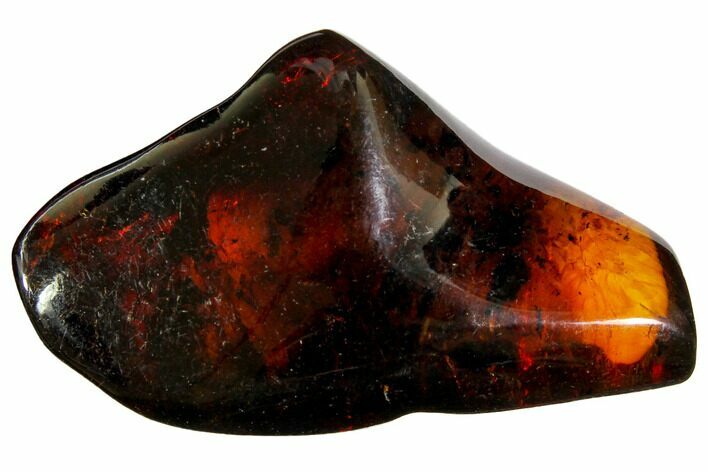 Polished Chiapas Amber ( g) - Mexico #114776